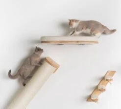 RHRQuality Wandmeubel Wandmontage Klimmuur Kat 53 X 43cm Luxe Kattenbed Creme Wand Muur Krabpaal Katten Muurbevestiging -Winkel Voor Kattenbenodigdheden 1200x1090 2