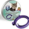 Natuurlijke Vlooienband - Katten - Paars - Zonder Giftige Pesticiden - 100% Natuurlijk - Vlooien En Teken - Milieuvriendelijk - Geur Halsband -Winkel Voor Kattenbenodigdheden 1200x1096 1