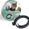 Natuurlijke Vlooienband - Katten - Zwart - Zonder Pesticiden Of Gif - Vlooien En Teken - Kattenbandje - Eco Friendly -Winkel Voor Kattenbenodigdheden 1200x1096 2