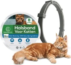 Essential Link Teken- En Vlooienband - Vlooienband Kat – Anti Vlooien – Vlooienmiddel - Tekenband - Diervriendelijk -Winkel Voor Kattenbenodigdheden 1200x1102