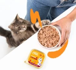 4x Edgard & Cooper Kattenvoer Adult Multipack Pate 8 X 85 Gr -Winkel Voor Kattenbenodigdheden 1200x1105 1