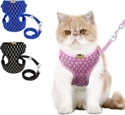 Merkloos Kattentuigje Met Looplijn - Kattenharnas - Kittentuigje - Kattenriem Met Looplijn - Kitten Tuigje Verstelbaar - Roze - Ixen -Winkel Voor Kattenbenodigdheden 1200x1107 4