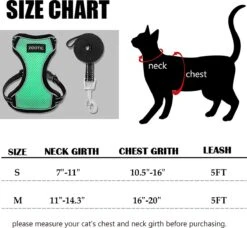 Kattentuigje Met Leiband Riem Kattenharnas Groen Maat L Kat & Kitten - Dieren Kattenriem - Cat Leash - Halsomvang 24 Tot 33cm - Borstomvang 36 Tot 41cm - Zootic® 12 Kattentuigje Met Leiband Riem Kattenharnas Groen Maat L Kat & Kitten - Dieren Kattenriem - Cat Leash - Halsomvang 24 Tot 33cm - Borstomvang 36 Tot 41cm - Zootic® -Winkel Voor Kattenbenodigdheden 1200x1110 1