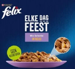 Purina Felix Elke Dag Feest - Kattenvoer Nat - Mix Selectie In Gelei - 120-pack -Winkel Voor Kattenbenodigdheden 1200x1113 1