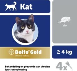 Bayer Bolfo Gold 80 Anti Vlooienmiddel - Kat - > 4 Kg - 4 Pipetten -Winkel Voor Kattenbenodigdheden 1200x1116