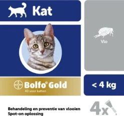 Bayer Bolfo Gold 40 Anti Vlooienmiddel - Kat - 0 Tot 4 Kg - 4 Pipetten 19 Bayer Bolfo Gold 40 Anti Vlooienmiddel - Kat - 0 Tot 4 Kg - 4 Pipetten -Winkel Voor Kattenbenodigdheden 1200x1116 3