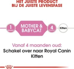 Royal Canin Mother & Babycat - Kattenvoer - 4 Kg -Winkel Voor Kattenbenodigdheden 1200x1116 7