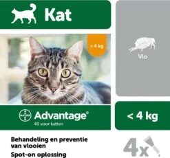 Bayer Advantage 40 Tegen Vlooien - <4kg - 4 X 0,4 Ml - Adult 25 Bayer Advantage 40 Tegen Vlooien - <4kg - 4 X 0,4 Ml - Adult -Winkel Voor Kattenbenodigdheden 1200x1117 1
