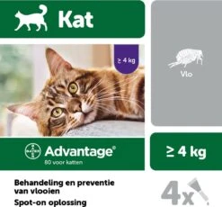 Bayer Anti Vlooienmiddel Advantage 80 > 4 Kg - 4 X 0,8 Ml -Winkel Voor Kattenbenodigdheden 1200x1117