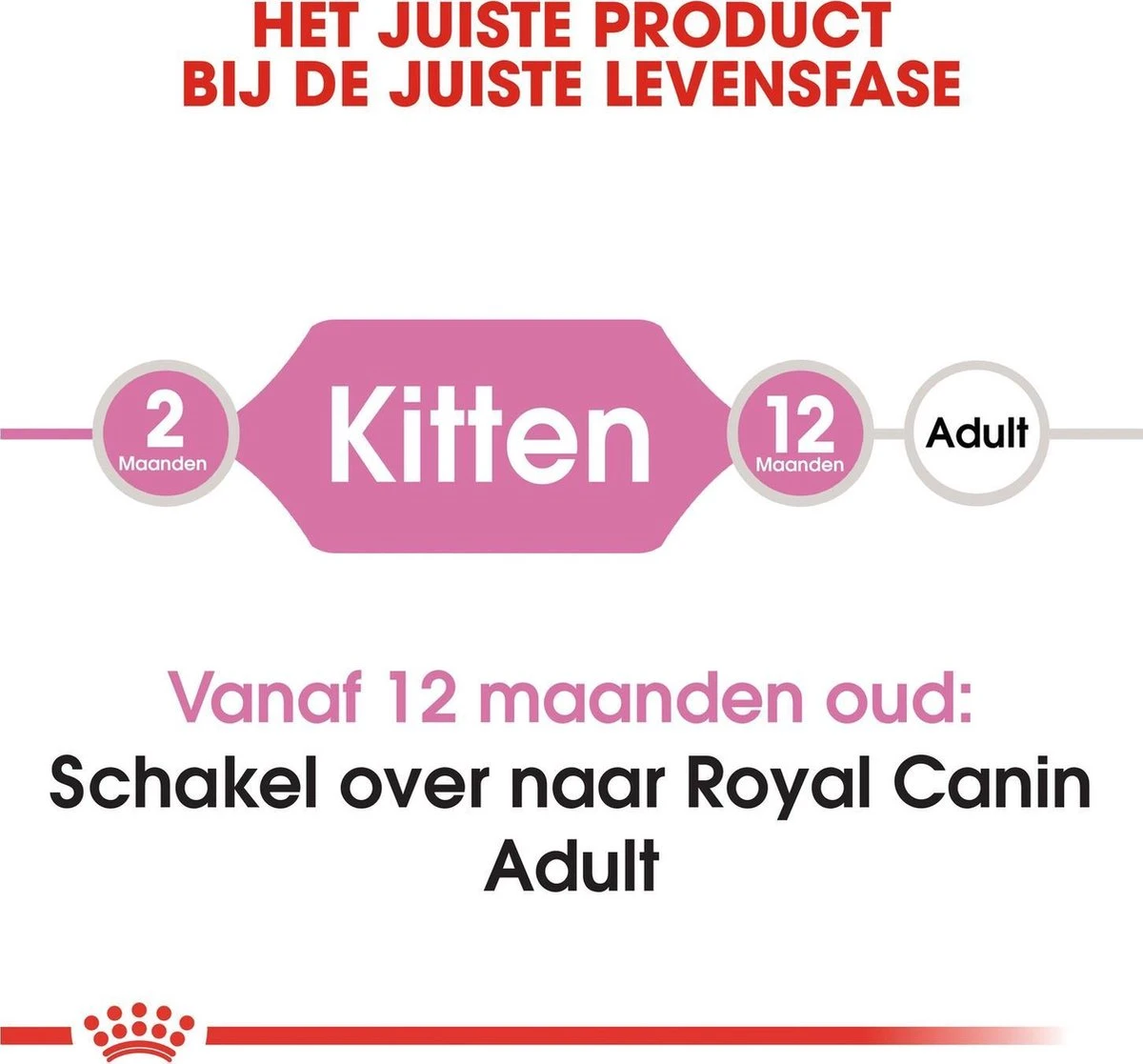 Royal Canin Kitten - Kittenvoer - 4 Kg 13 Royal Canin Kitten - Kittenvoer - 4 Kg - Afbeelding 11