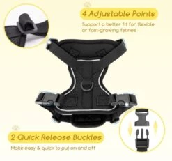 Nobleza Kattenharnas M Reflecterend Zwart Met Riem -Winkel Voor Kattenbenodigdheden 1200x1121 5