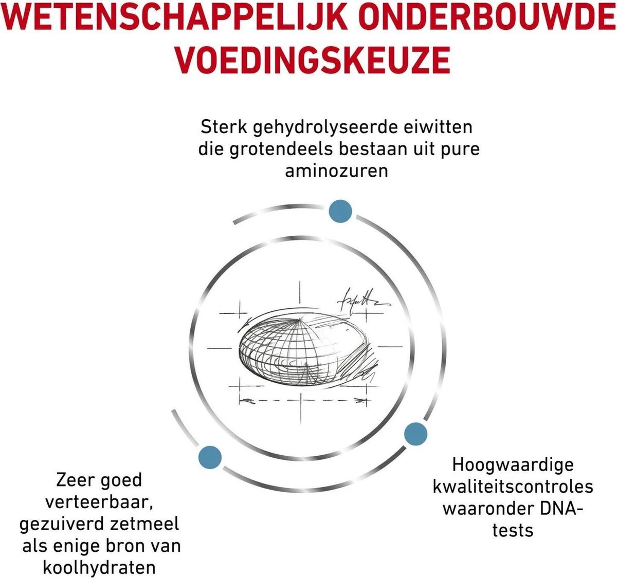 Royal Canin Anallergenic Kattenvoer 4 Kg 7 Royal Canin Anallergenic Kattenvoer 4 Kg - Afbeelding 5
