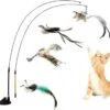 Kattenspeelgoed - Simulatie Vogel - Interactieve Grappige Kattenspeeltjes - Kattenhengel Met Zuignap + 4 Vogels + Een Kattenhengel GRATIS 2 Kattenspeelgoed - Simulatie Vogel - Interactieve Grappige Kattenspeeltjes - Kattenhengel Met Zuignap + 4 Vogels + Een Kattenhengel GRATIS -Winkel Voor Kattenbenodigdheden 1200x1125 7