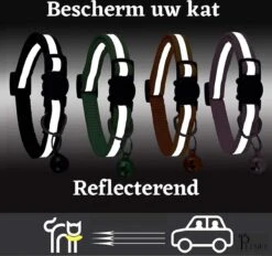 Petsify - Kattenhalsband Met Belletje - Veiligheidssluiting - Reflecterend - Halsband Kat - Halsband Kitten - Set Van 11 -Winkel Voor Kattenbenodigdheden 1200x1126 3