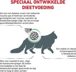 Royal Canin Diabetic - Kattenvoer - 3,5 Kg -Winkel Voor Kattenbenodigdheden 1200x1127 1