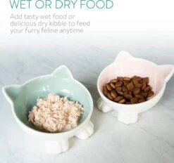 Navaris Voerbakjes Voor Katten - Set Van 2 Voer- En Waterbakken - Etensbak Van Keramiek - Met Antislip Voetjes - Kattenvorm - Roze/Groen -Winkel Voor Kattenbenodigdheden 1200x1128 6