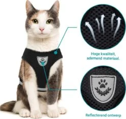 Merkloos Kattentuigje Met Looplijn | Zwart Kattenharnas | Easy Step In | Kattenriem | Kattenlijn | Kattentuig | Maat S -Winkel Voor Kattenbenodigdheden 1200x1131 3