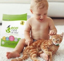 Eco Cane Kattenbakvulling 3,28kg 9 Eco Cane Kattenbakvulling 3,28kg -Winkel Voor Kattenbenodigdheden 1200x1131 4