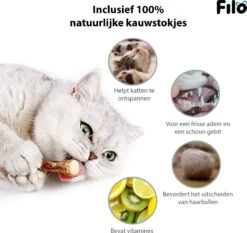 Filo Kattenspeelgoed Set 30 Stuks - Kattenspeeltje Kattentunnel - Kattenhengel - Kattenveertjes - Vis Met Kattenkruid - Kattenspeeltjes Intelligentie Kitten - Interactief Speelgoed Katten - Poezen Speeltjes -Winkel Voor Kattenbenodigdheden 1200x1133 6