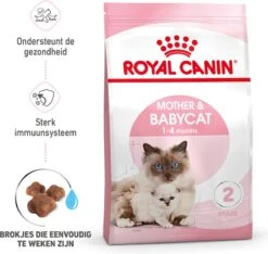 Royal Canin Mother & Babycat - Kattenvoer - 4 Kg -Winkel Voor Kattenbenodigdheden 1200x1136 3