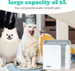 Nobleza USB Drinkfontein Voor Hond/Kat - 2L - Incl. 2 Filters - Wit 19 Nobleza USB Drinkfontein Voor Hond/Kat - 2L - Incl. 2 Filters - Wit -Winkel Voor Kattenbenodigdheden 1200x1136 5