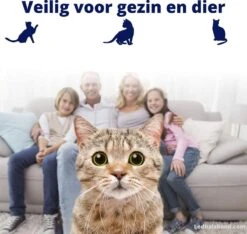 Biologische Vlooienband | Katten | Zonder Pesticiden | Vlooien En Teken | Veilig Voor Mens En Dier | Milieuvriendelijk | Kattenbandje | Geur Halsband -Winkel Voor Kattenbenodigdheden 1200x1137 2