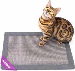 Petrebels Mastermat 60 Katten Krabmat - Grijs - 60 X 40 Cm - Zeer Sterk -Winkel Voor Kattenbenodigdheden 1200x1137 6