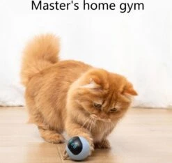 Otiume Interactieve Speelbal - Slimme Interactieve Jaag Speeltje Voor Katten - Kattenspeeltjes - Intelligente Jaagbal - AI -USB Oplaadbaar - LED - Blauw 13 Otiume Interactieve Speelbal - Slimme Interactieve Jaag Speeltje Voor Katten - Kattenspeeltjes - Intelligente Jaagbal - AI -USB Oplaadbaar - LED - Blauw -Winkel Voor Kattenbenodigdheden 1200x1137 9