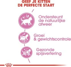 Royal Canin Kitten Sterilised - Kattenvoer - 2 Kg -Winkel Voor Kattenbenodigdheden 1200x1141 3