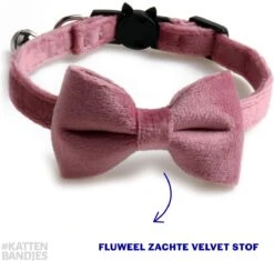 Kattenhalsband Velvet Met Strik | Halsband Kat | Kattenband Velours | Kattenbandje Velvet Met Strik, Veiligheidssluiting En Belletje In Roze -Winkel Voor Kattenbenodigdheden 1200x1141 9