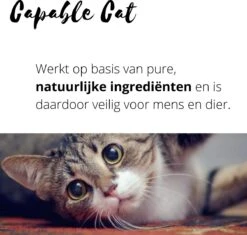 Capable Cat Vlooienband Kat | Vlooien | Luizen | Teken | Mijten | 8 Maanden Bescherming | Katten 13 Capable Cat Vlooienband Kat | Vlooien | Luizen | Teken | Mijten | 8 Maanden Bescherming | Katten -Winkel Voor Kattenbenodigdheden 1200x1142 1
