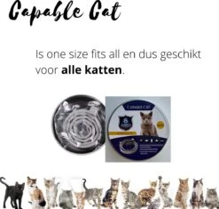 Capable Cat Vlooienband Kat | Vlooien | Luizen | Teken | Mijten | 8 Maanden Bescherming | Katten 15 Capable Cat Vlooienband Kat | Vlooien | Luizen | Teken | Mijten | 8 Maanden Bescherming | Katten -Winkel Voor Kattenbenodigdheden 1200x1142 2