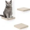 Navaris Katten Klimmuur 3 Tredes - 18 X 18 X 1,5 Cm Per Plankje - Katten Klimwand Van Hout - Inclusief Bevestigingsmateriaal -Winkel Voor Kattenbenodigdheden 1200x1142 6