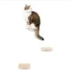 Katten Klimmuur Panelen Luxe Katten Klimwand Kat -Winkel Voor Kattenbenodigdheden 1200x1144 1