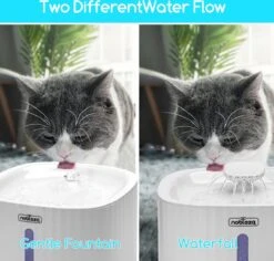 Nobleza Drinkfontein Voor Katten -Winkel Voor Kattenbenodigdheden 1200x1145 4