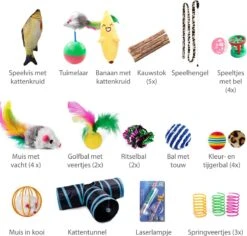 Filo Kattenspeelgoed Set 30 Stuks - Kattenspeeltje Kattentunnel - Kattenhengel - Kattenveertjes - Vis Met Kattenkruid - Kattenspeeltjes Intelligentie Kitten - Interactief Speelgoed Katten - Poezen Speeltjes -Winkel Voor Kattenbenodigdheden 1200x1145 6