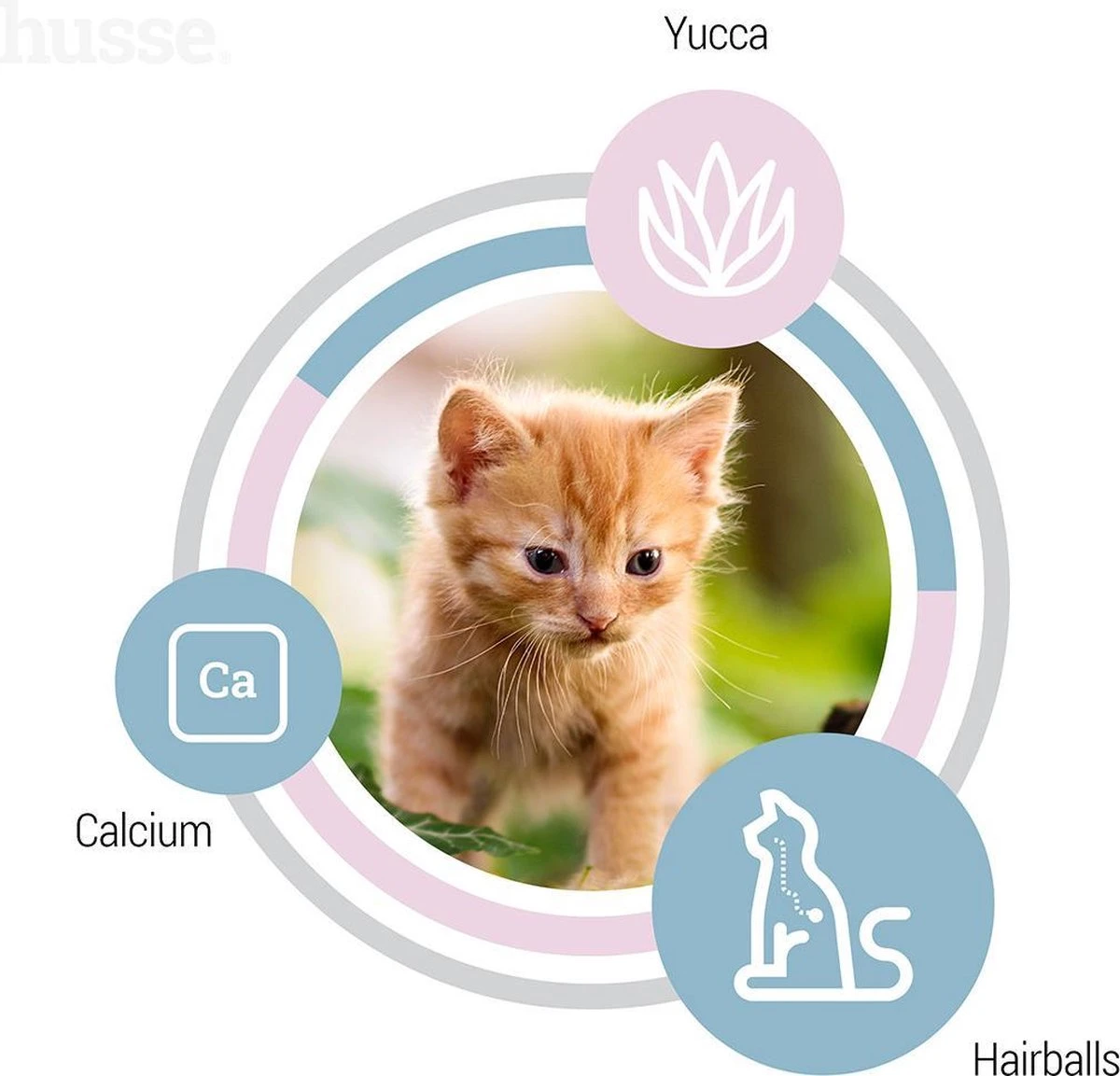 Husse Kattunge Kitten - 2 Kg - Kittenvoer - Kattenvoer - Kittenbrokjes 8 Husse Kattunge Kitten - 2 Kg - Kittenvoer - Kattenvoer - Kittenbrokjes - Afbeelding 6