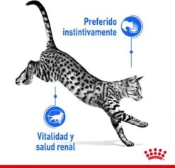Royal Canin Feline Sterilised Indoor In Gravy 19 Royal Canin Feline Sterilised Indoor In Gravy -Winkel Voor Kattenbenodigdheden 1200x1153