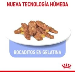 Royal Canin Feline Sterilised Indoor In Gravy 17 Royal Canin Feline Sterilised Indoor In Gravy -Winkel Voor Kattenbenodigdheden 1200x1155