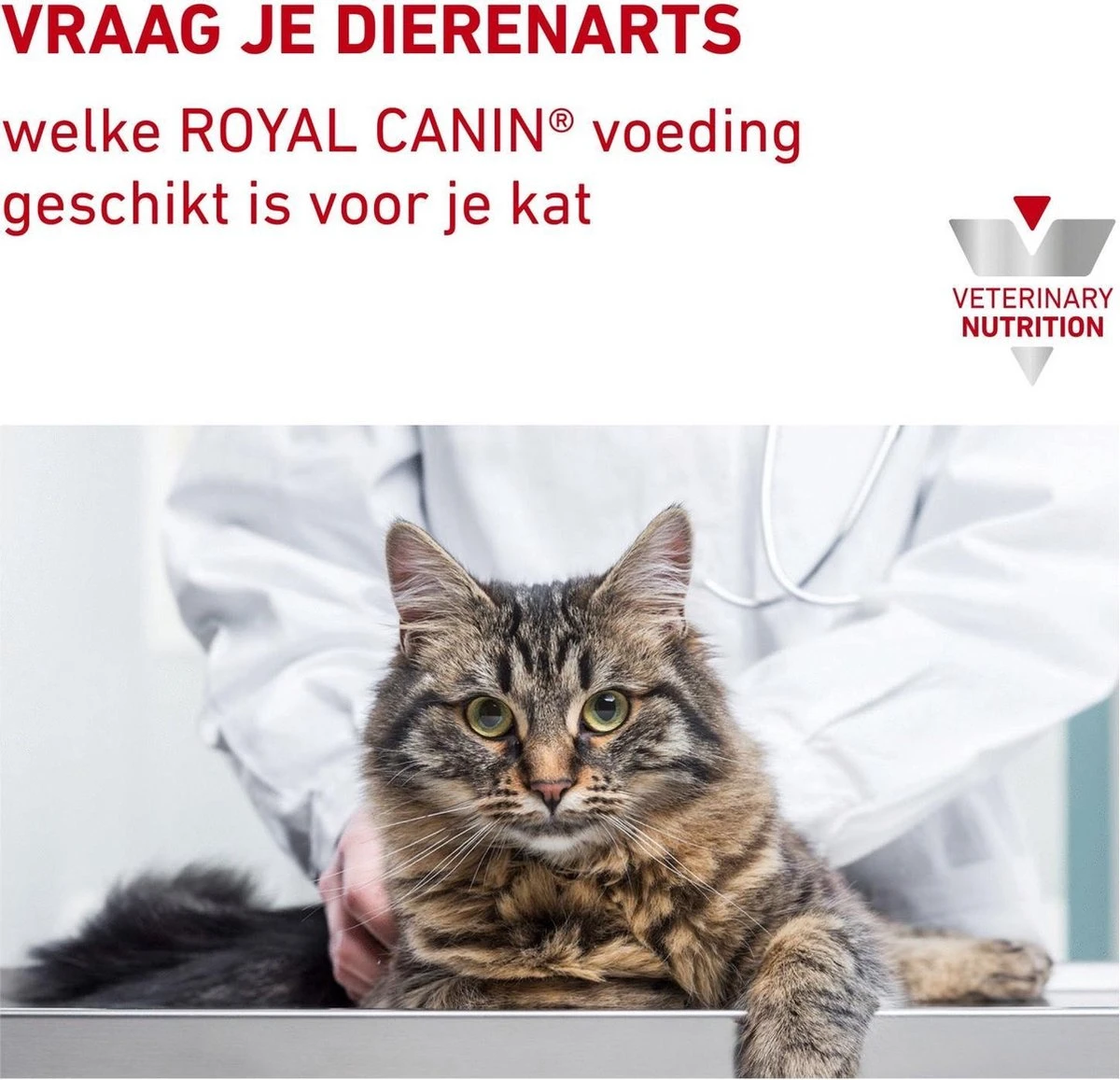 Royal Canin Urinary S/O Moderate Calorie 12 X 85g Kattenvoer 8 Royal Canin Urinary S/O Moderate Calorie 12 X 85g Kattenvoer - Afbeelding 6