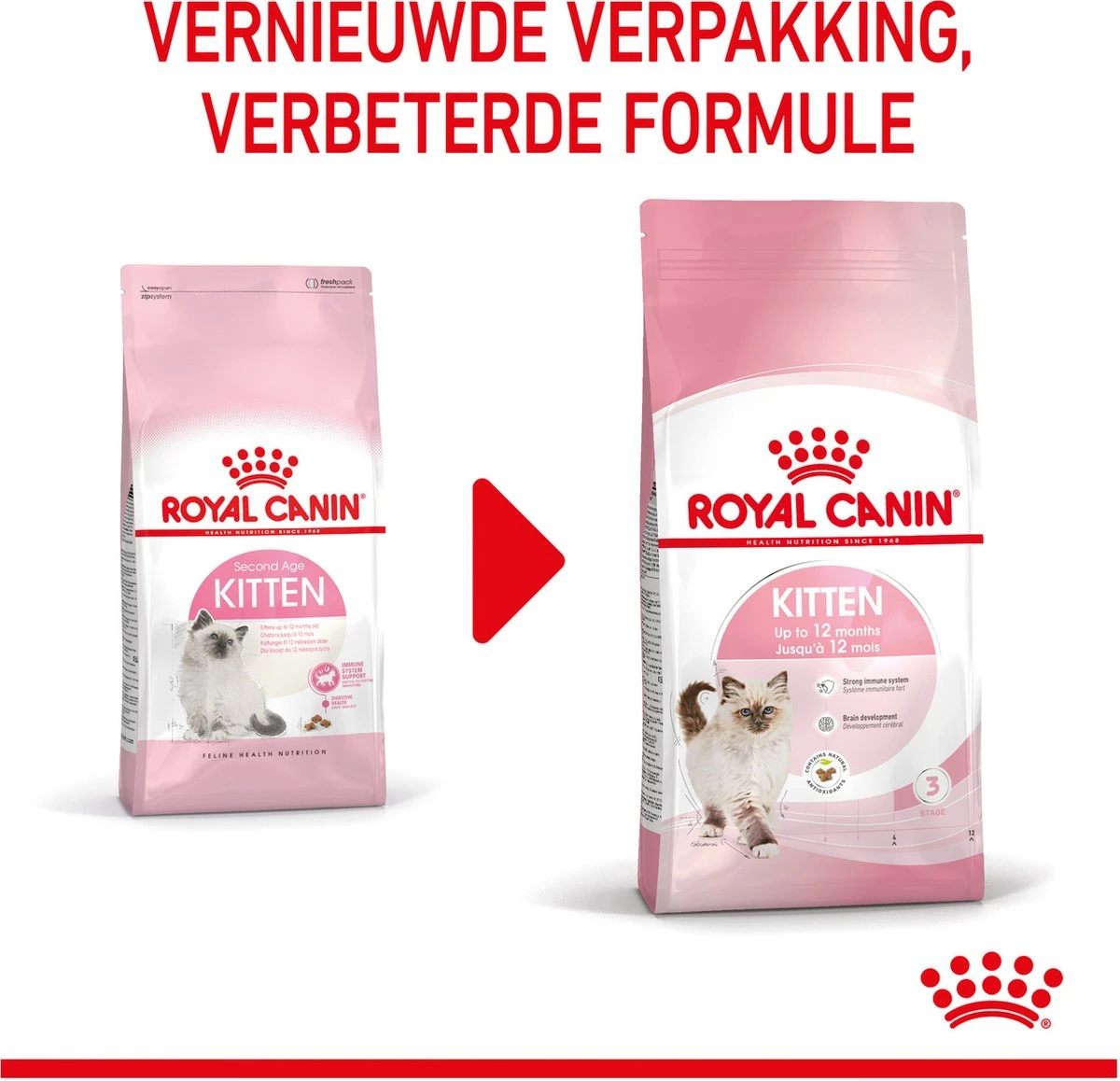 Royal Canin Kitten - Kittenvoer - 4 Kg 20 Royal Canin Kitten - Kittenvoer - 4 Kg - Afbeelding 18