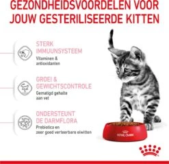 Royal Canin Kitten Sterilised - Kattenvoer - 2 Kg -Winkel Voor Kattenbenodigdheden 1200x1159 10