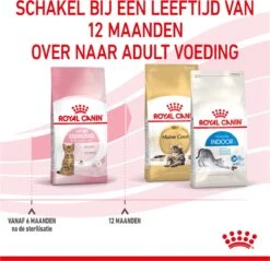 Royal Canin Kitten Sterilised - Kattenvoer - 2 Kg -Winkel Voor Kattenbenodigdheden 1200x1159 15