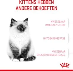 Royal Canin Kitten - Kittenvoer - 4 Kg 25 Royal Canin Kitten - Kittenvoer - 4 Kg -Winkel Voor Kattenbenodigdheden 1200x1159 2