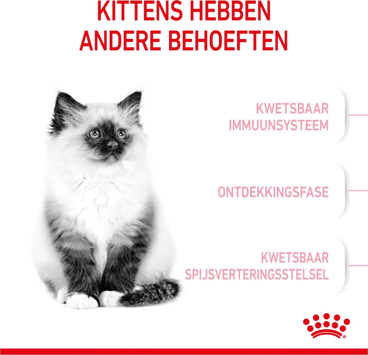 Royal Canin Kitten - Kittenvoer - 4 Kg 6 Royal Canin Kitten - Kittenvoer - 4 Kg - Afbeelding 4
