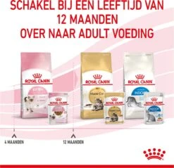 Royal Canin Wet Kitten (12X85 GR) -Winkel Voor Kattenbenodigdheden 1200x1159 23