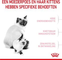 Royal Canin Mother & Babycat - Kattenvoer - 4 Kg -Winkel Voor Kattenbenodigdheden 1200x1159 24