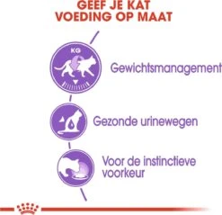 Royal Canin Feline Sterilised In Gravy (12X85 GR) -Winkel Voor Kattenbenodigdheden 1200x1159