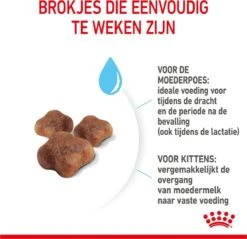 Royal Canin Mother & Babycat - Kattenvoer - 4 Kg -Winkel Voor Kattenbenodigdheden 1200x1159 26