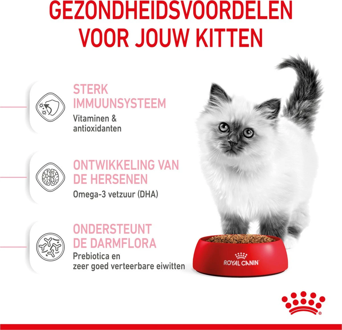 Royal Canin Kitten - Kittenvoer - 4 Kg 8 Royal Canin Kitten - Kittenvoer - 4 Kg - Afbeelding 6